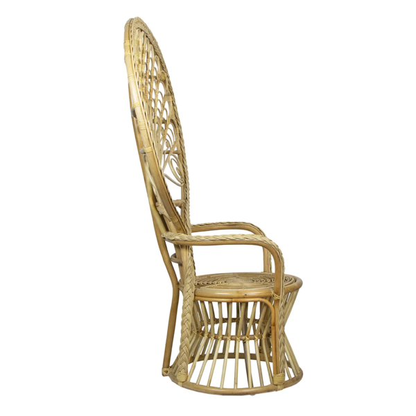 Cabana Rattan Peacock Chair - Matthew Izzo Collection Fashion