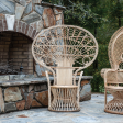 Cabana Rattan Peacock Chair - Matthew Izzo Collection Fashion