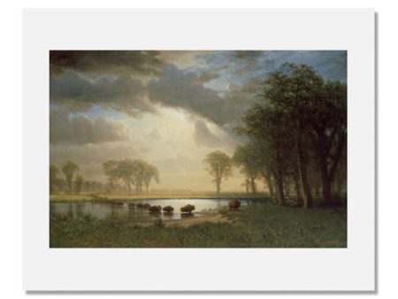 Albert Bierstadt, The Buffalo Trail Cheap