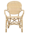 Cabana Rattan Arm Chair - Matthew Izzo Collection Online