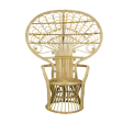 Cabana Rattan Peacock Chair - Matthew Izzo Collection Fashion