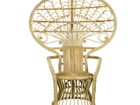 Cabana Rattan Peacock Chair - Matthew Izzo Collection Fashion